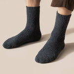 Lot de 2 paires de chaussettes en laine mérinos