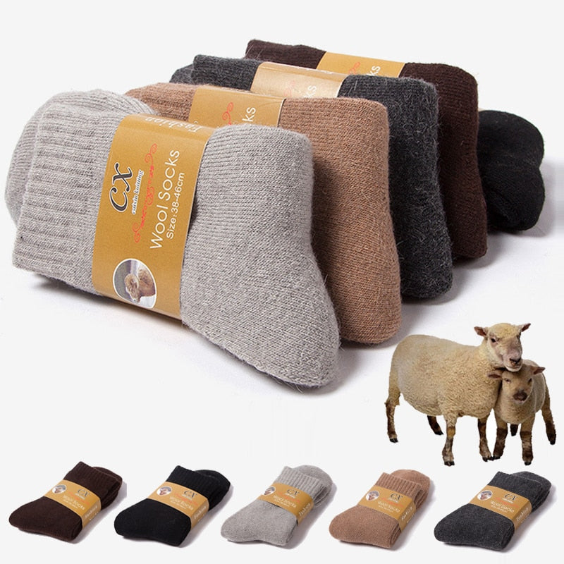 Lot de 2 paires de chaussettes en laine mérinos