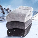 Lot de 2 paires de chaussettes en laine mérinos
