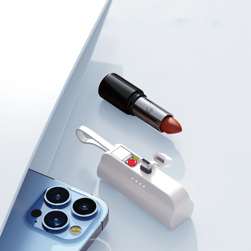 Chargeur batterie externe 2 en 1