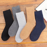 Lot de 2 paires de chaussettes en laine mérinos
