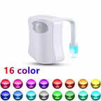 Multicolor smart toilet light