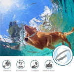 PROTECT + : Collier anti parasites pour chiens & chats