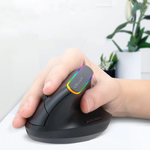 Souris verticale
