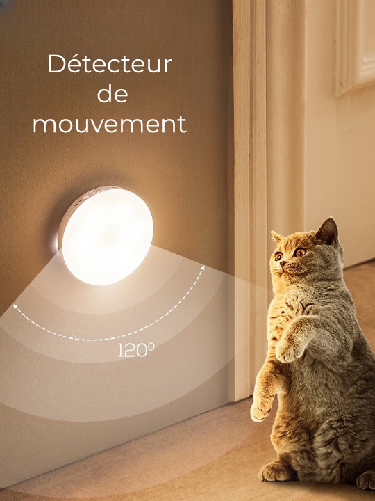 Lot de 2-lampes-LED-détecteur-de-mouvement