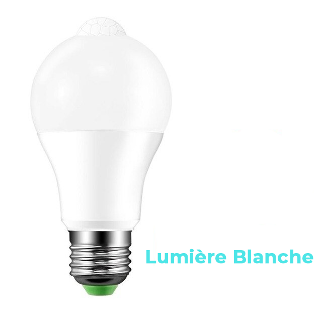 2 x Motion detector bulbs