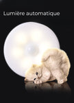 Lot de 2-lampes-LED-détecteur-de-mouvement